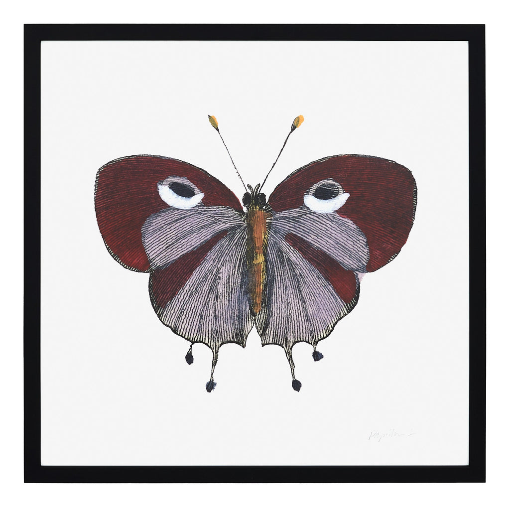 Jayson Home - Papillon I