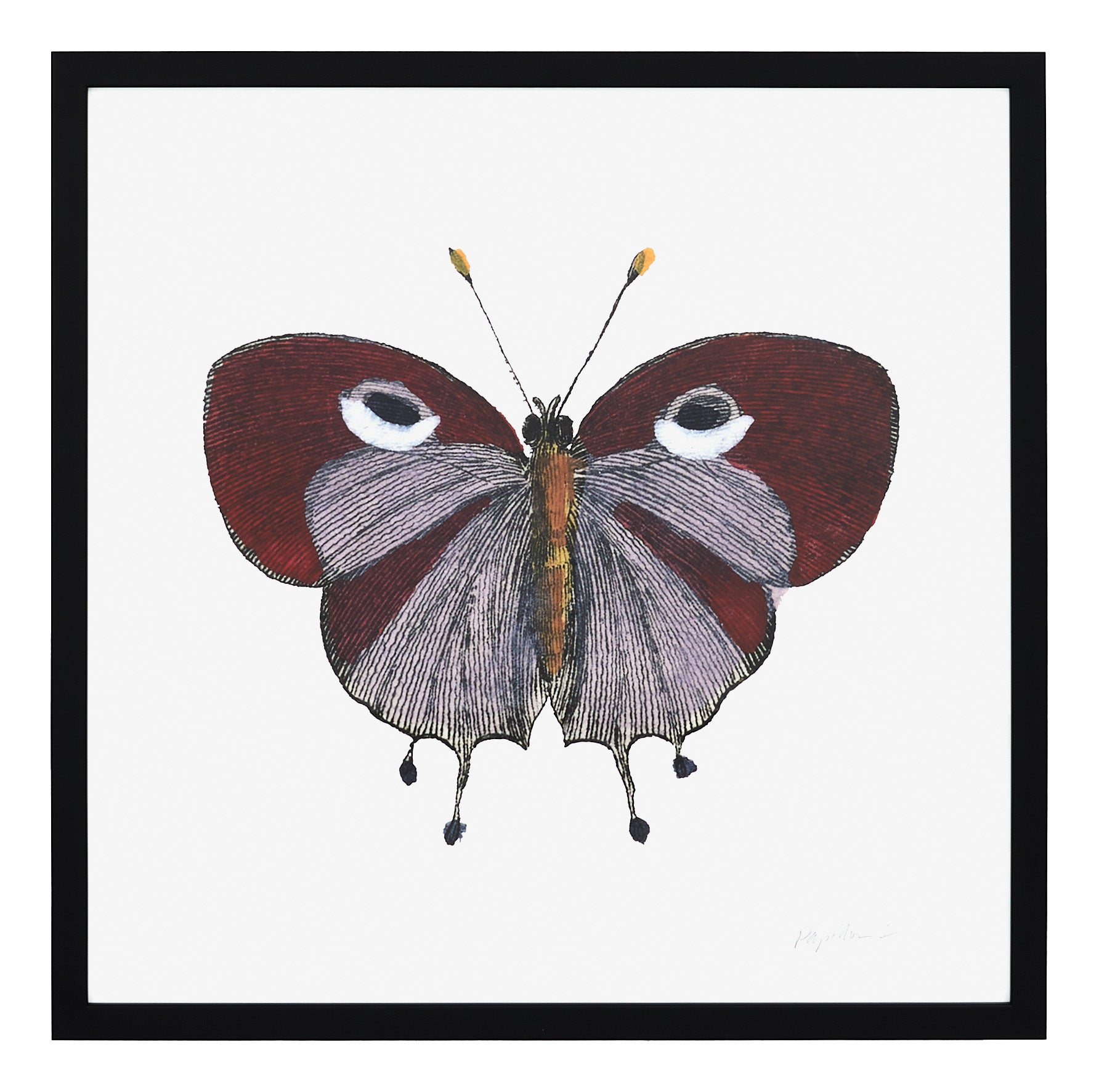 Jayson Home - Papillon I