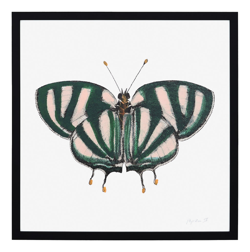 Jayson Home - Papillon IV