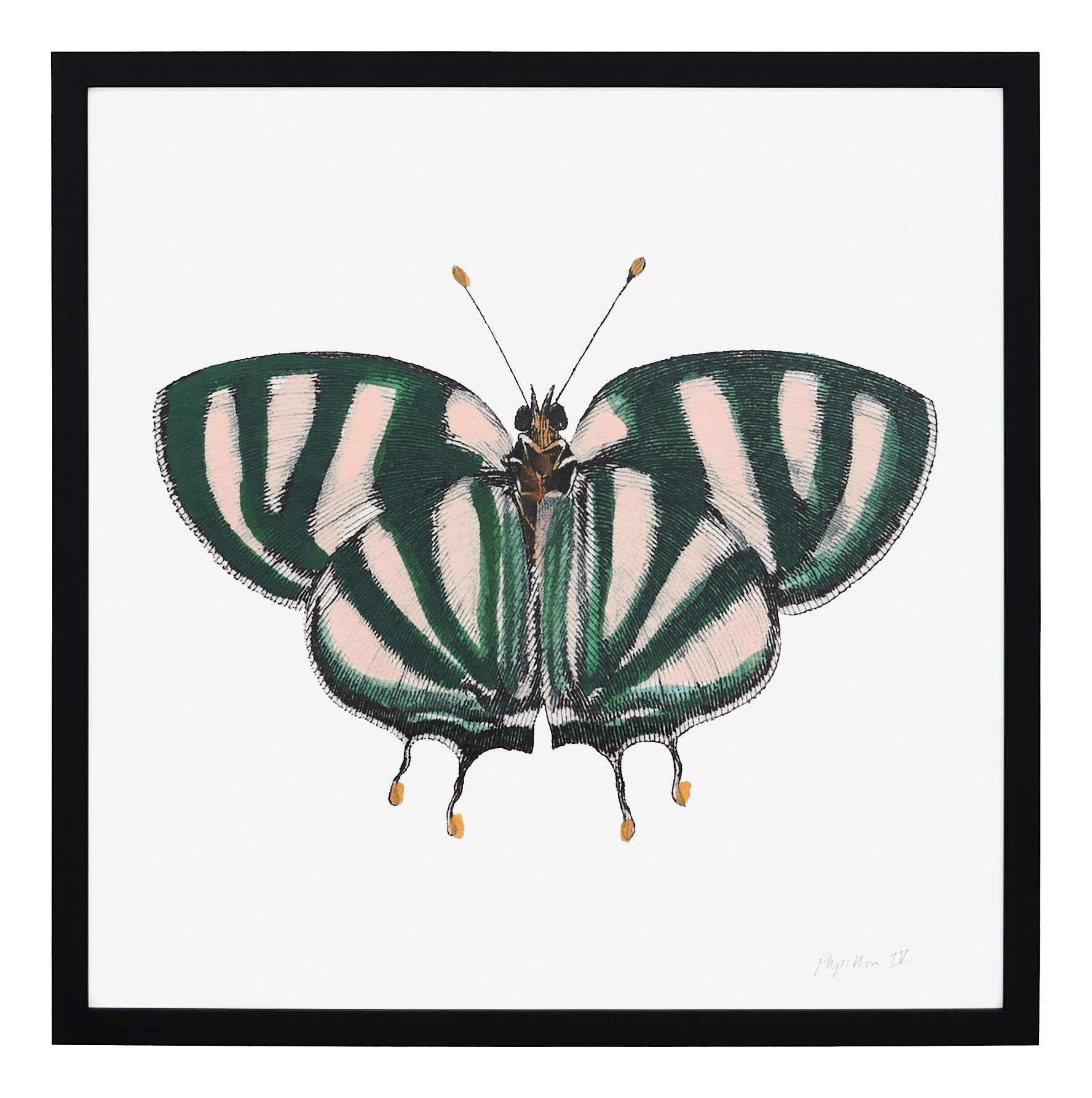 Jayson Home - Papillon IV