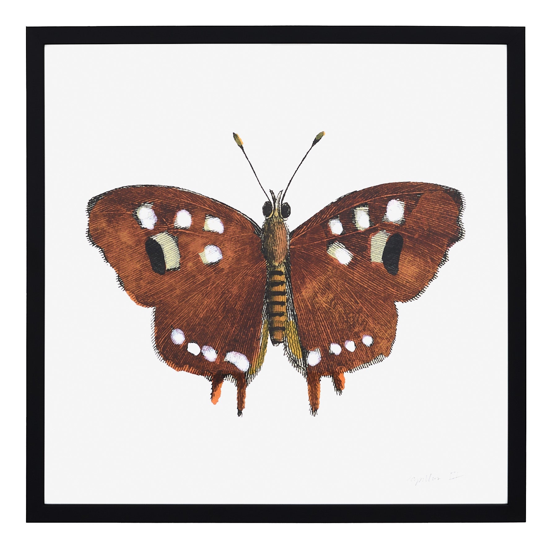Jayson Home - Papillon III