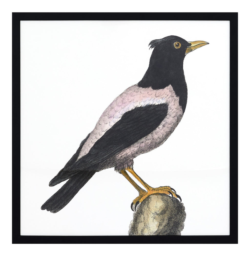 Jayson Home - Le Merle Art II