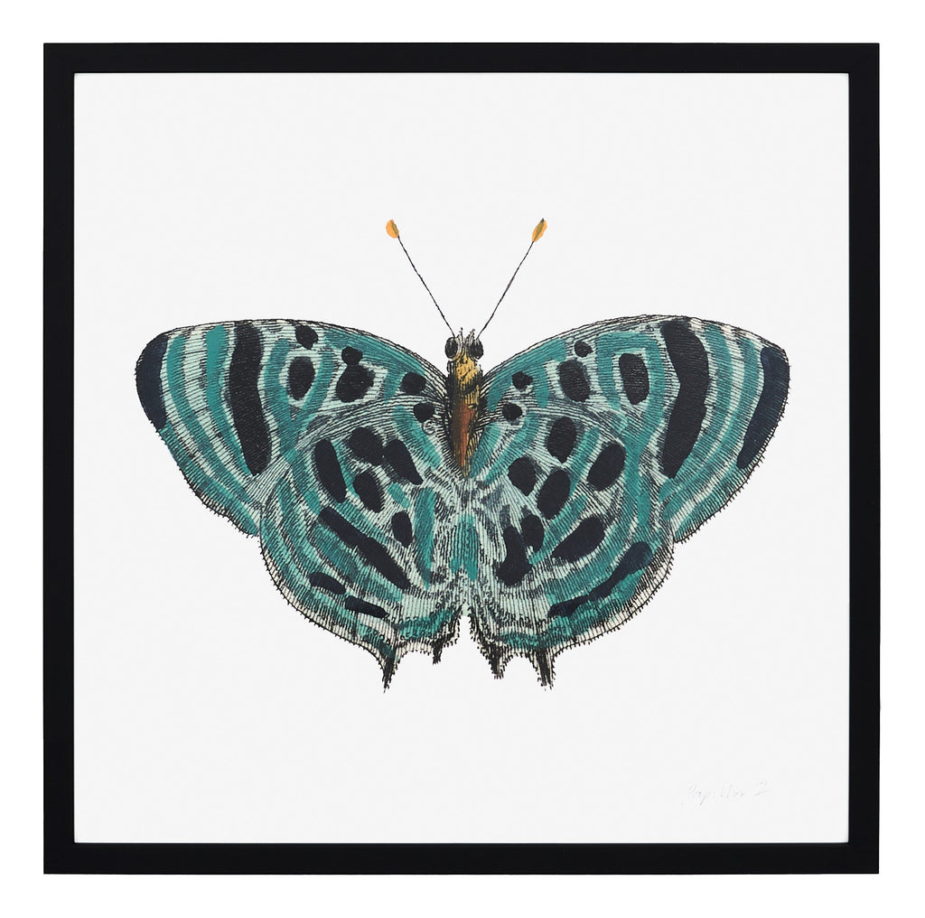 Jayson Home - Papillon II
