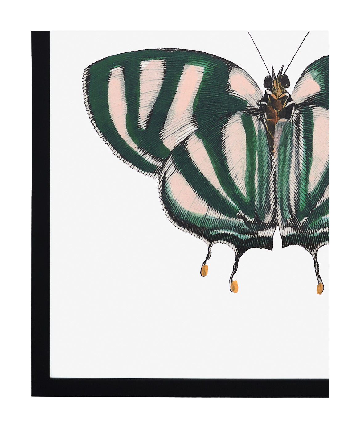 Jayson Home - Papillon IV