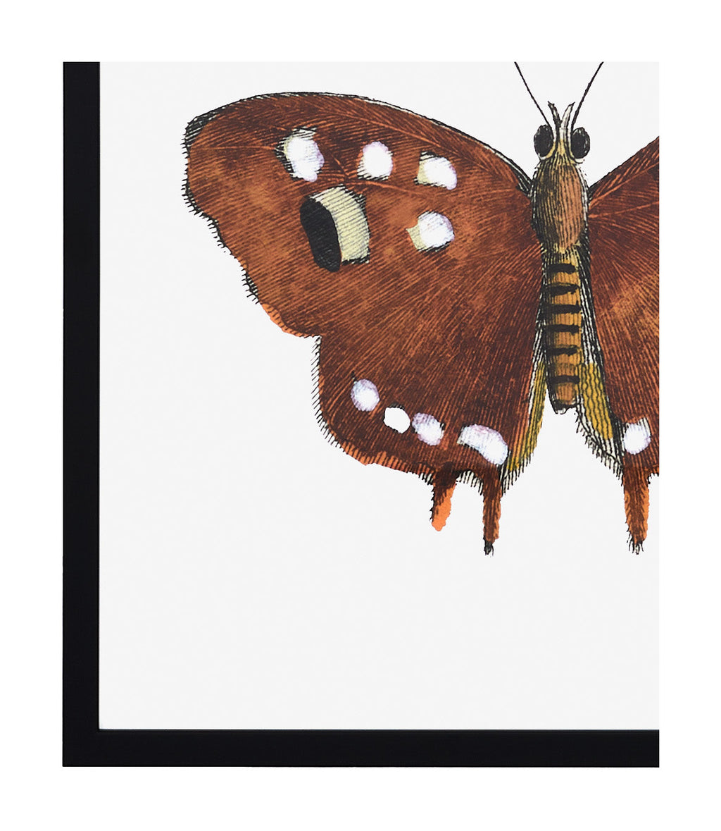 Jayson Home - Papillon III
