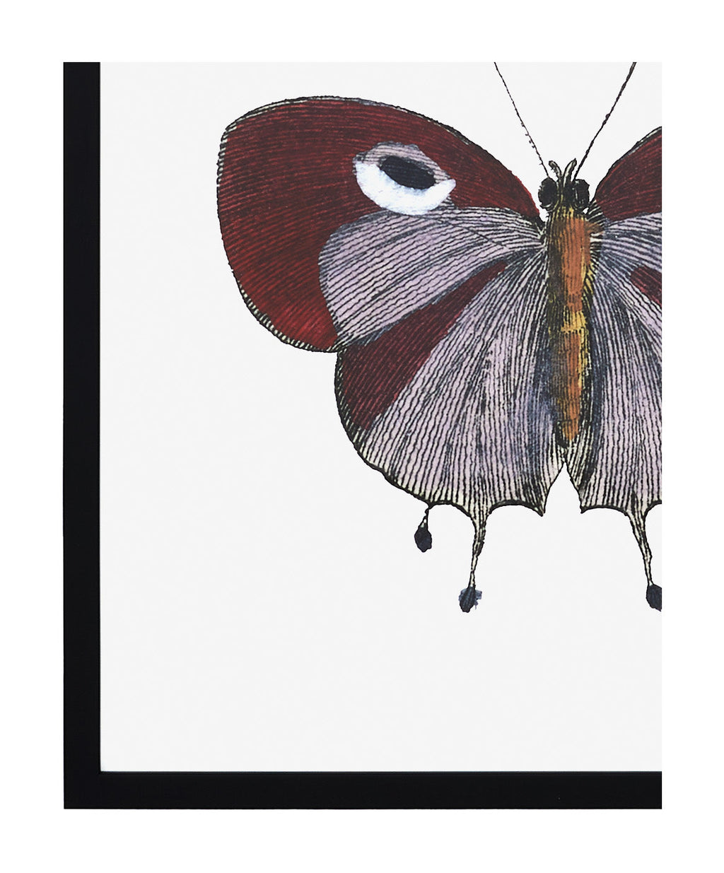 Jayson Home - Papillon I