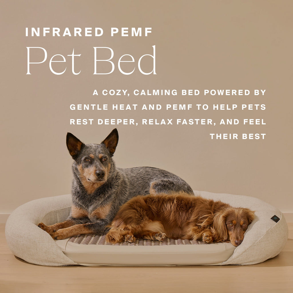 Higher Dose - Infrared PEMF Pet Bed