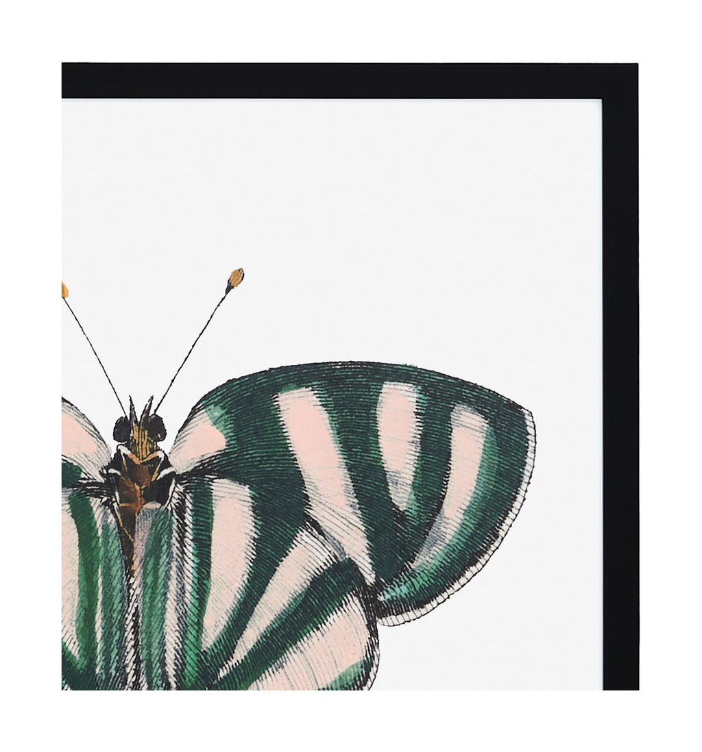 Jayson Home - Papillon IV
