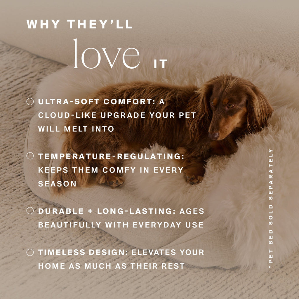 Higher Dose - Natural Sheep Shearling Pet Bed Cover