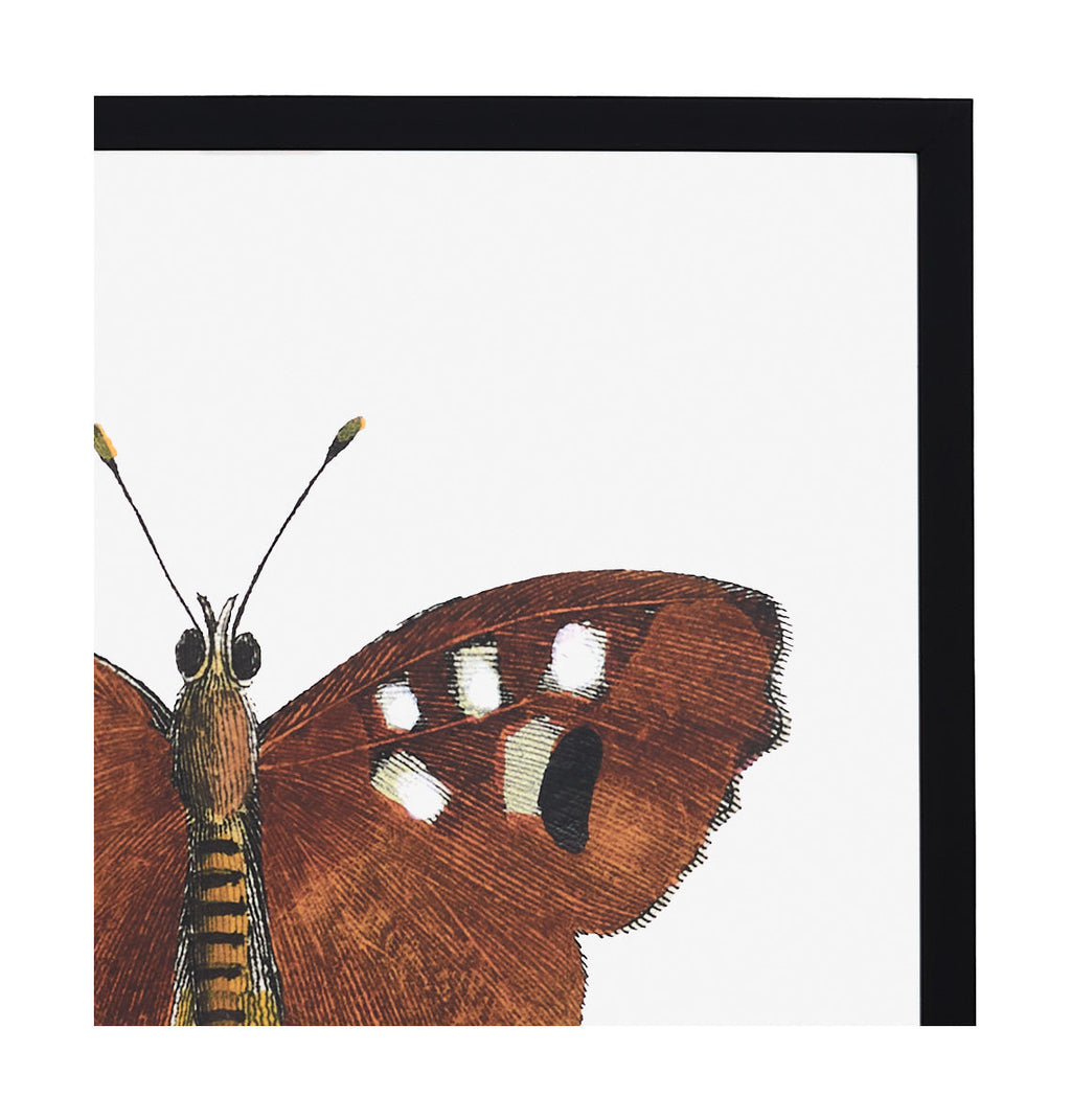 Jayson Home - Papillon III