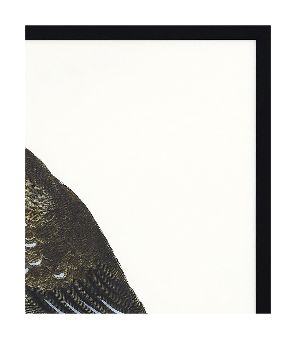 Jayson Home - Le Faucon Art I