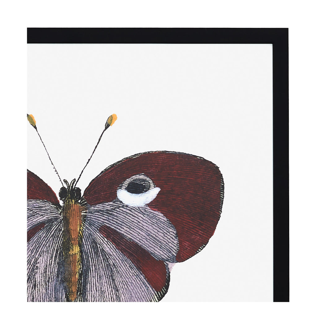 Jayson Home - Papillon I