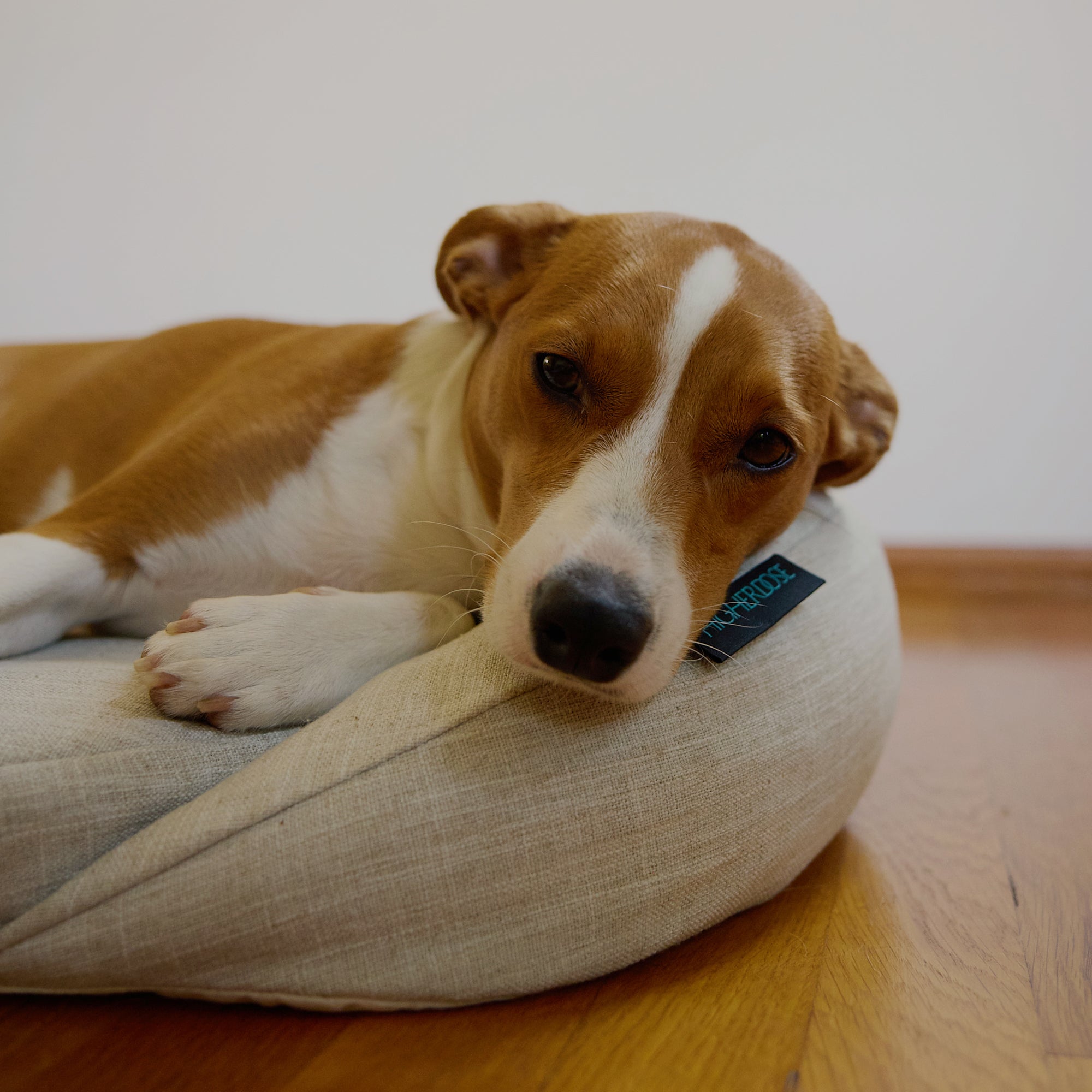 Higher Dose - Infrared PEMF Pet Bed