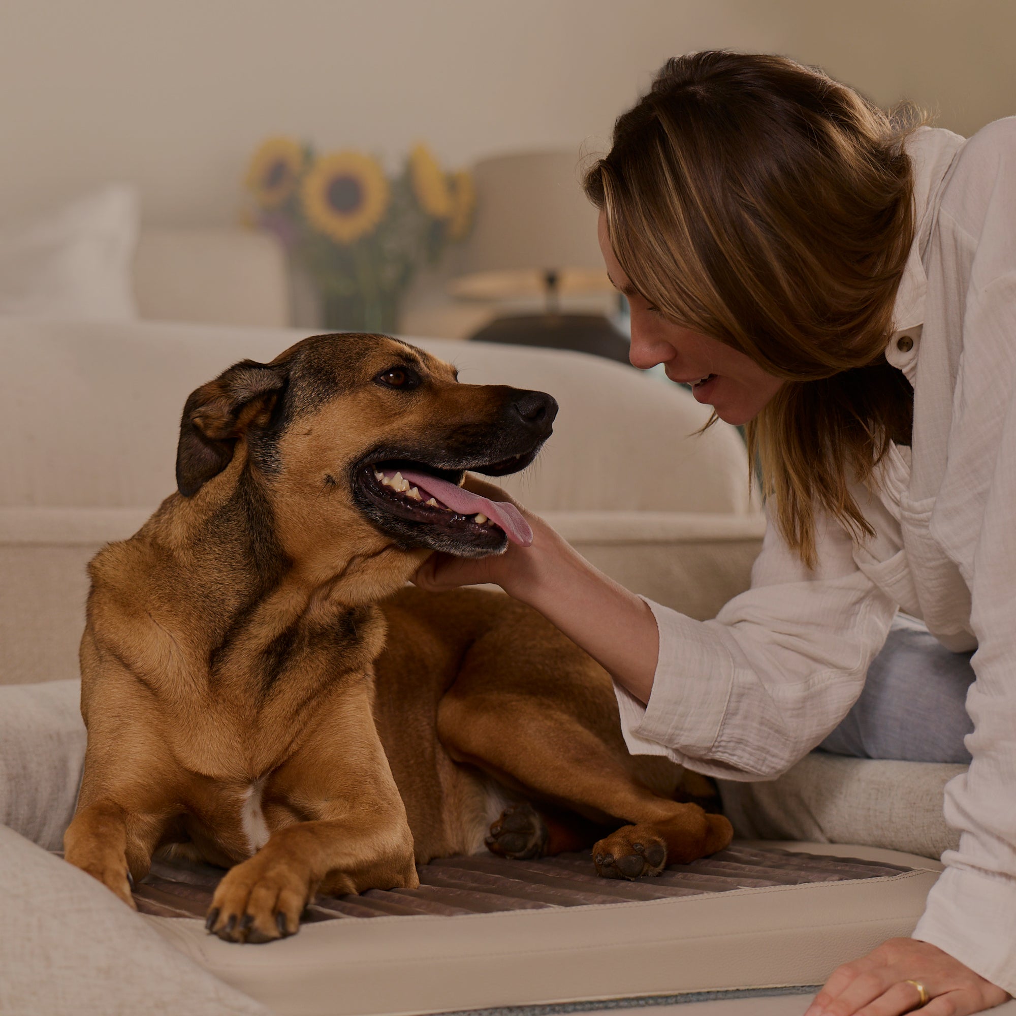 Higher Dose - Infrared PEMF Pet Bed