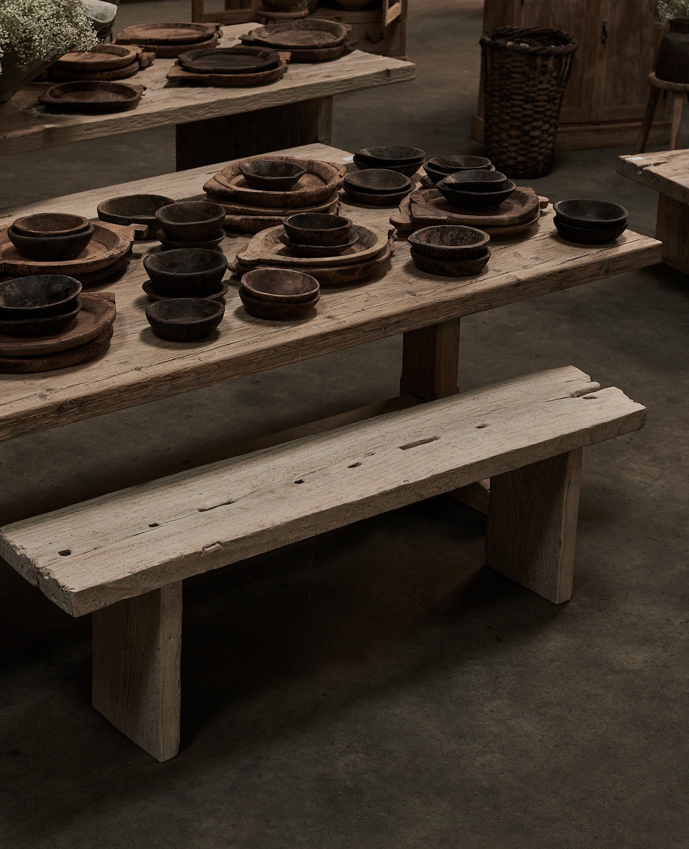 Olive Ateliers - Chunky Elm Bench - Bleached