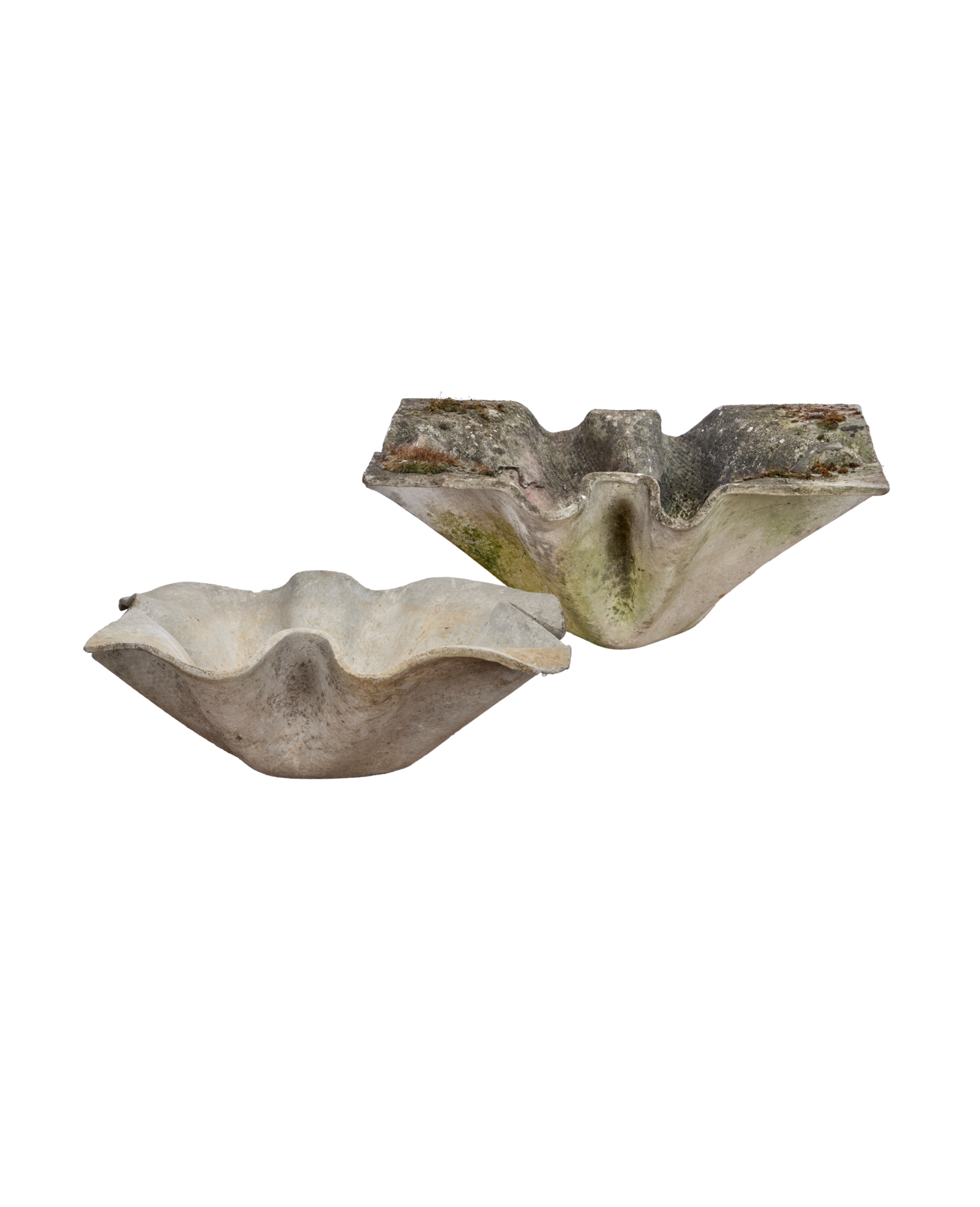 Olive Ateliers - Willy Guhl Planter - Elephant Assorted
