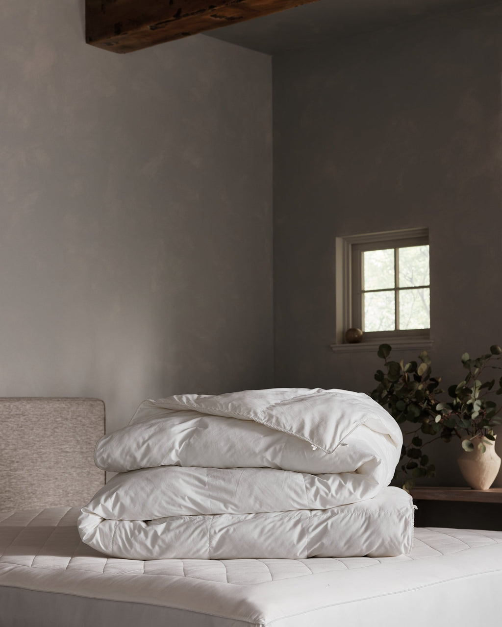 Cozy Earth - Down Alternative Insert Bundle