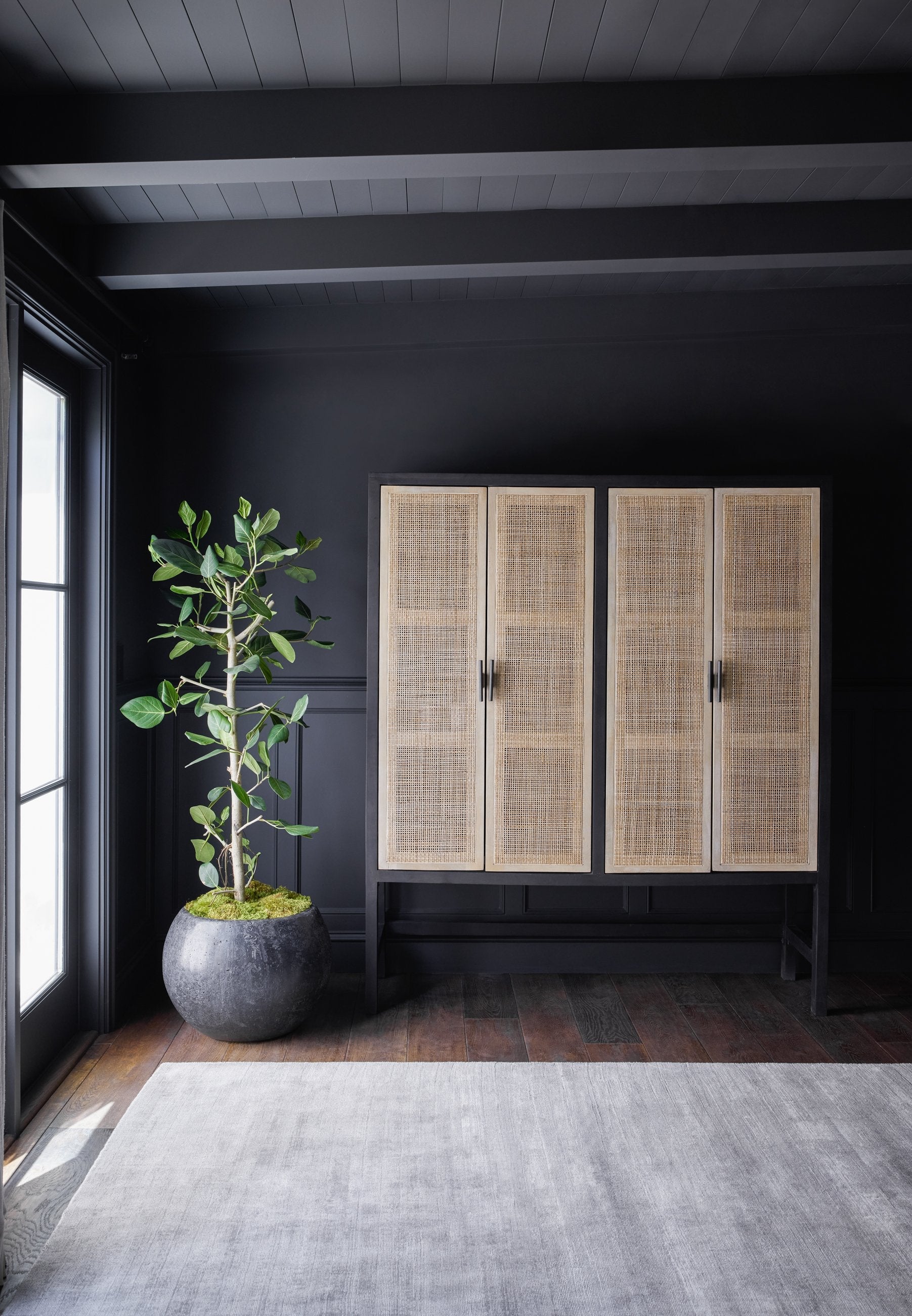 Lulu and Georgia - Hannah Cabinet