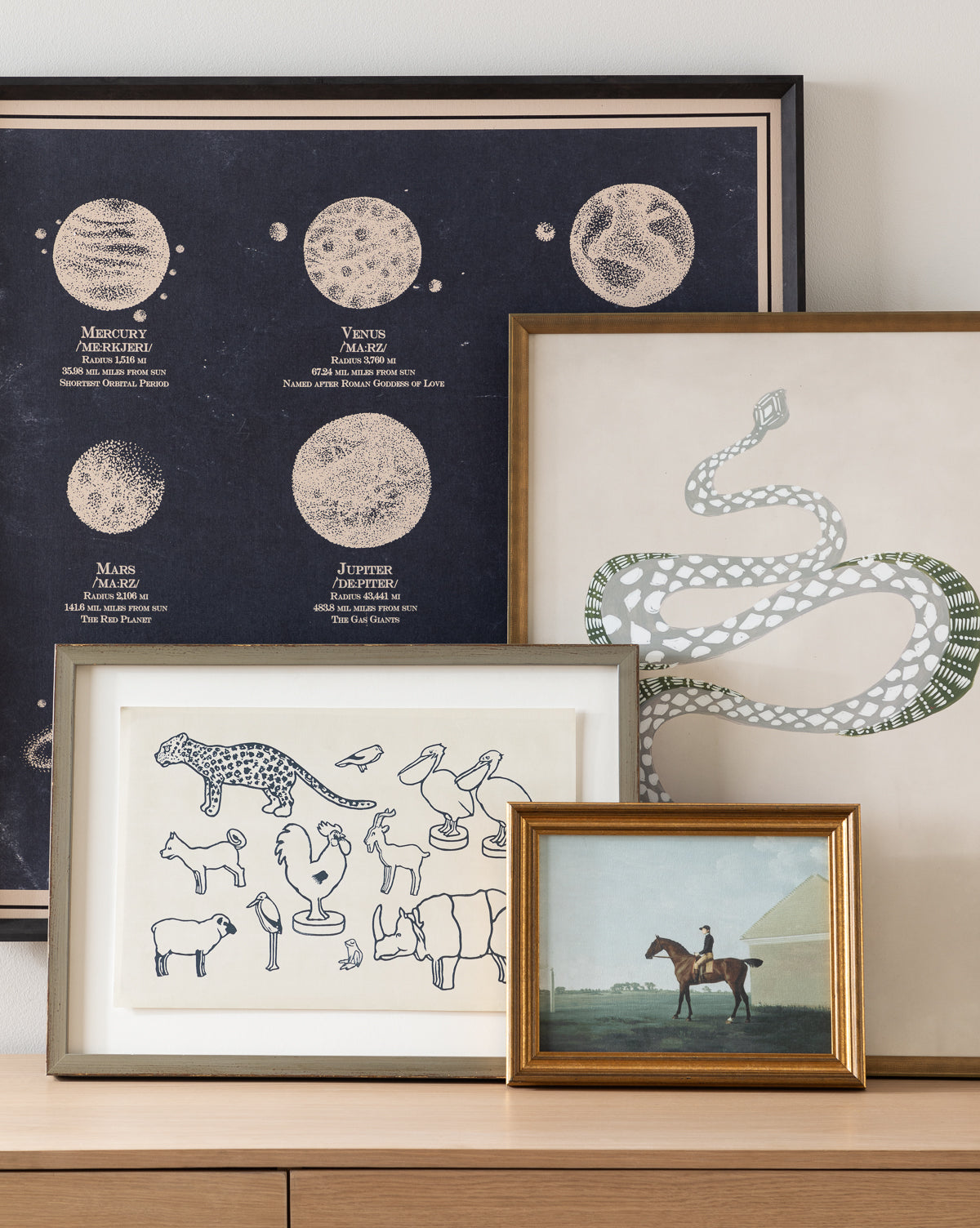 McGee & Co - Zoo Cut - Outs