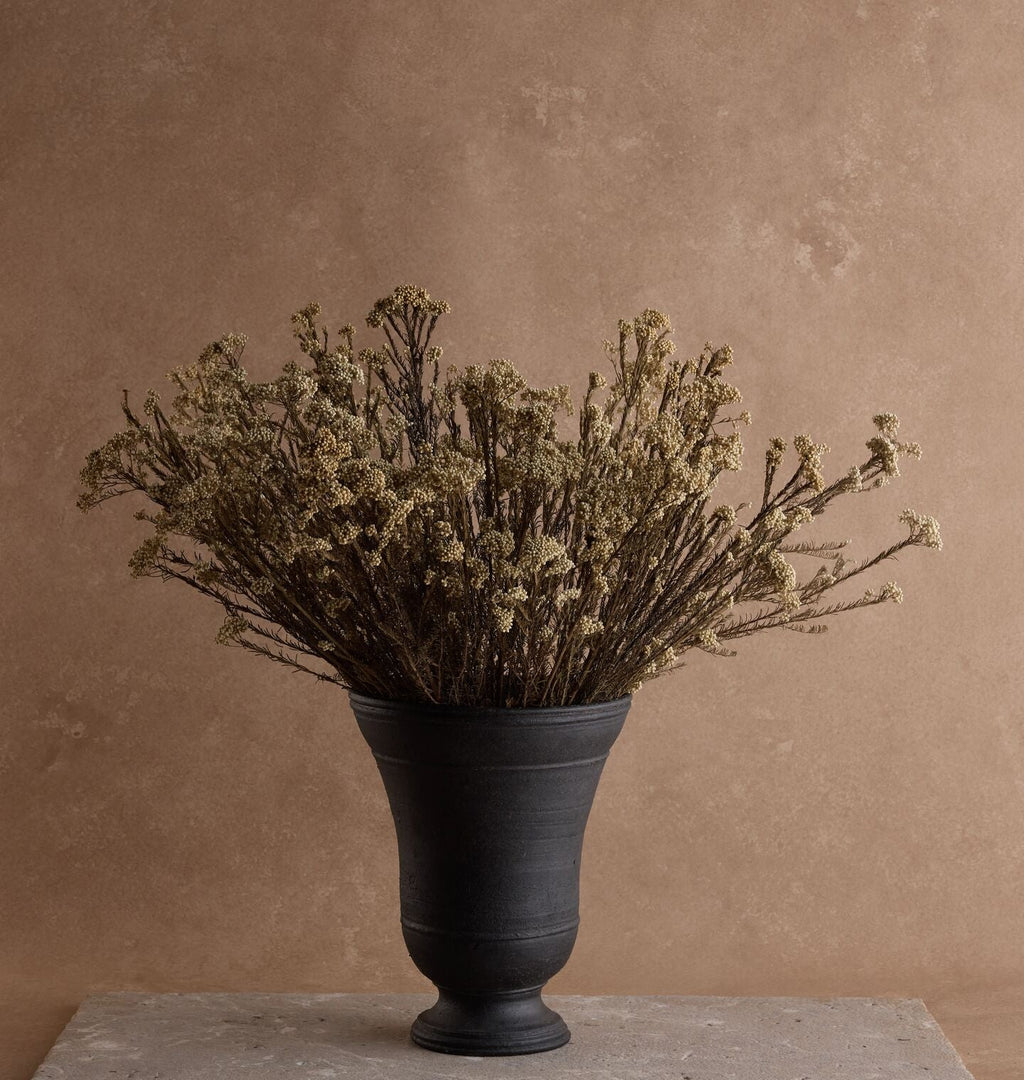 Amber Interiors - Dried White Rice Flower Bundle in Large Bergen Vase