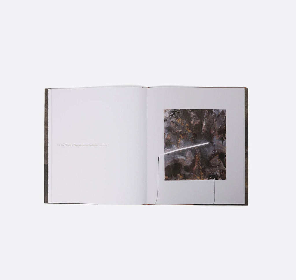 Amber Interiors - The Flaying of Marsyas