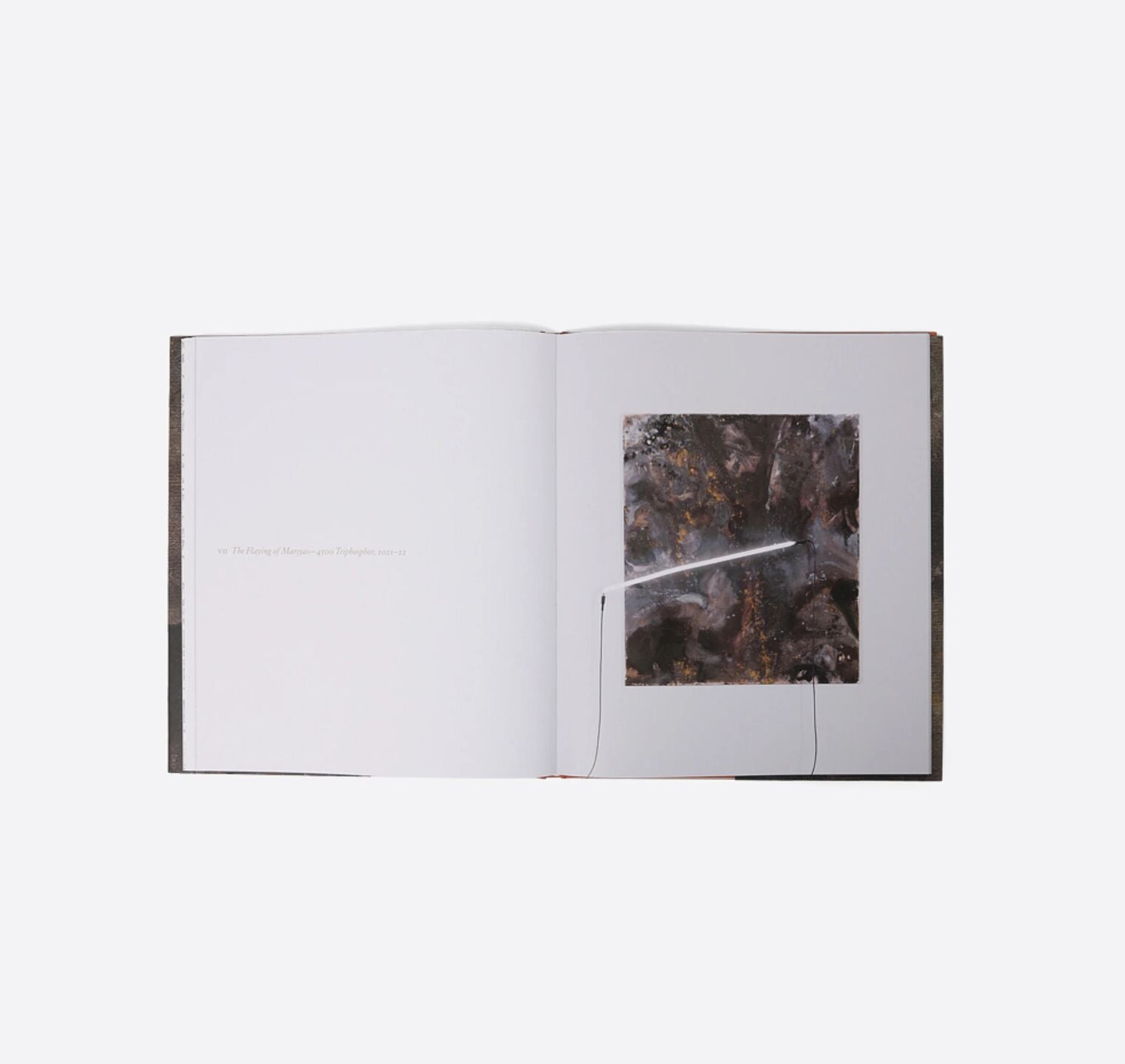 Amber Interiors - The Flaying of Marsyas