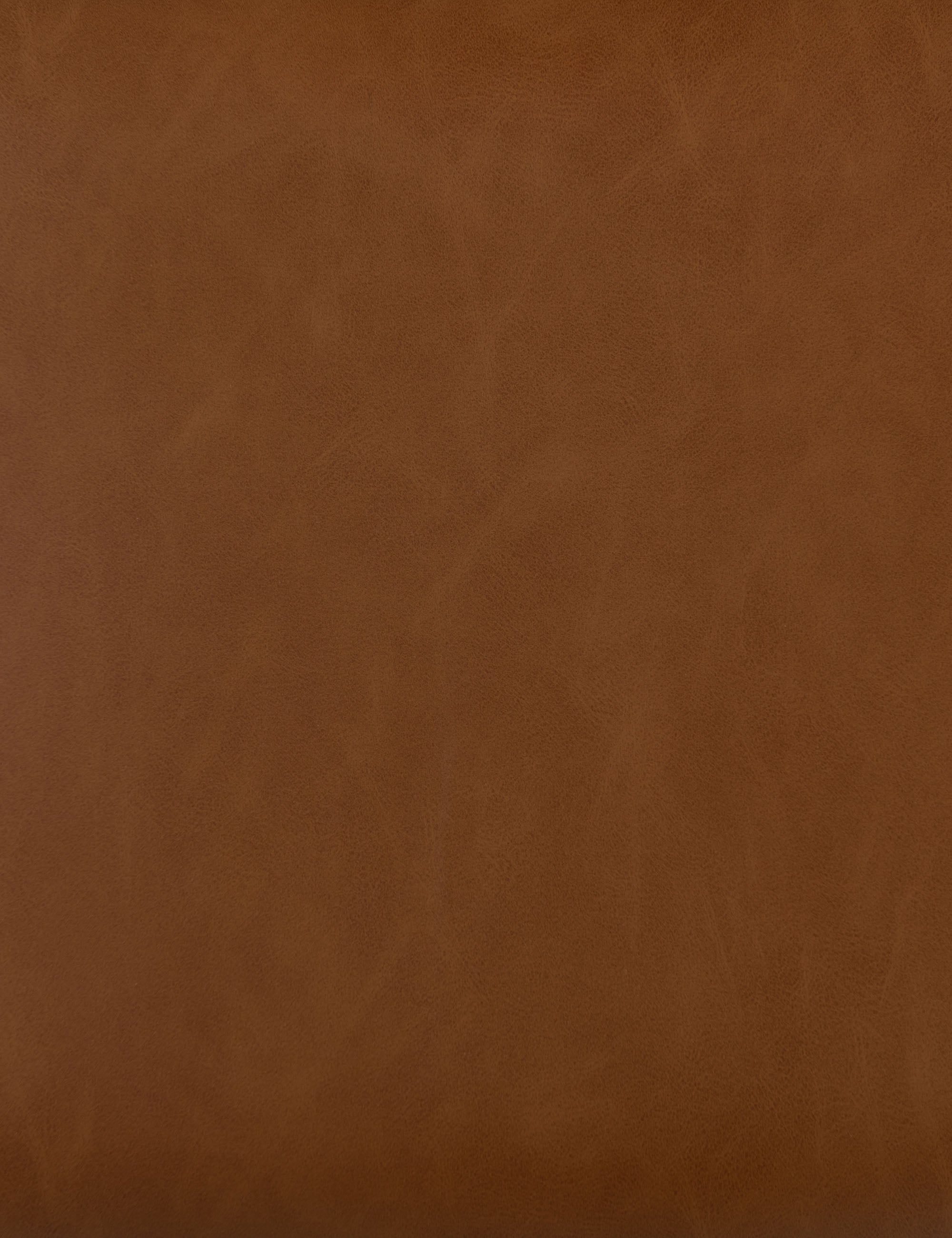 Lulu and Georgia - Archie Dining Chair (Set of 2)