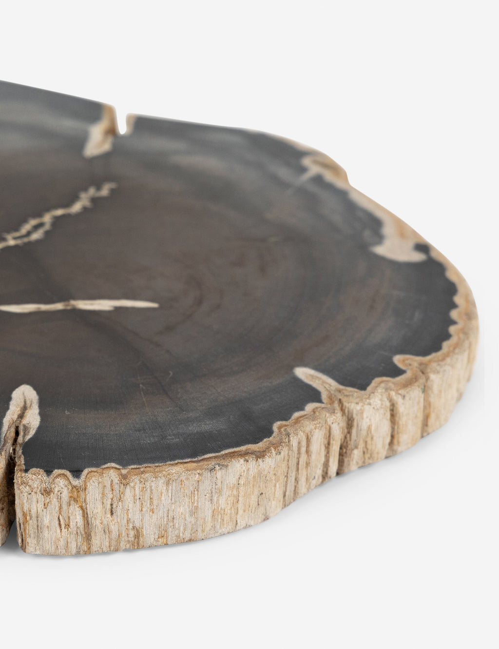 Lulu and Georgia - Farzana Petrified Wood Slab