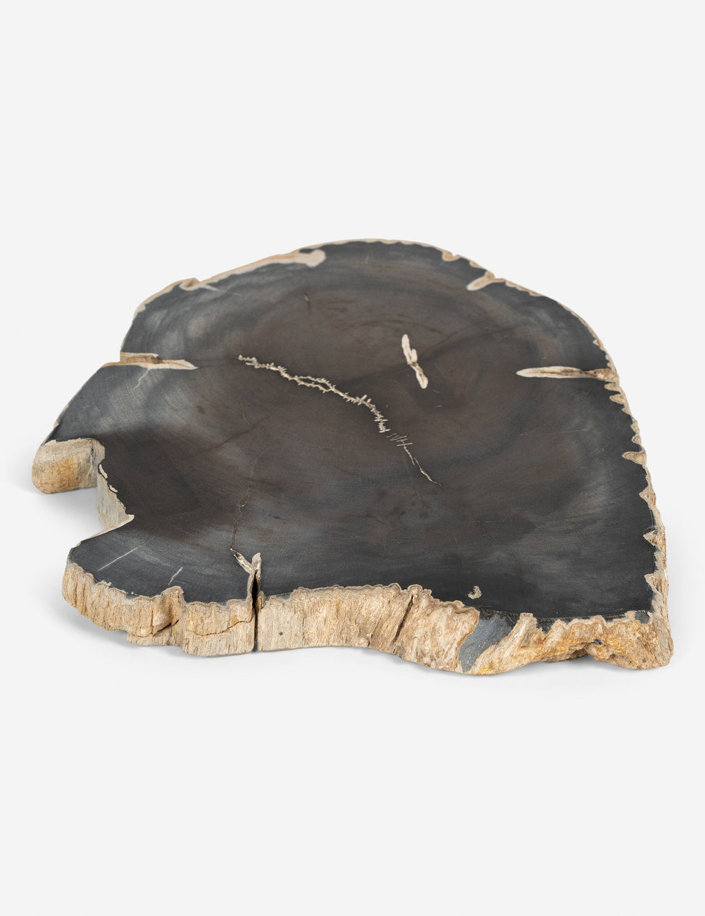 Lulu and Georgia - Farzana Petrified Wood Slab