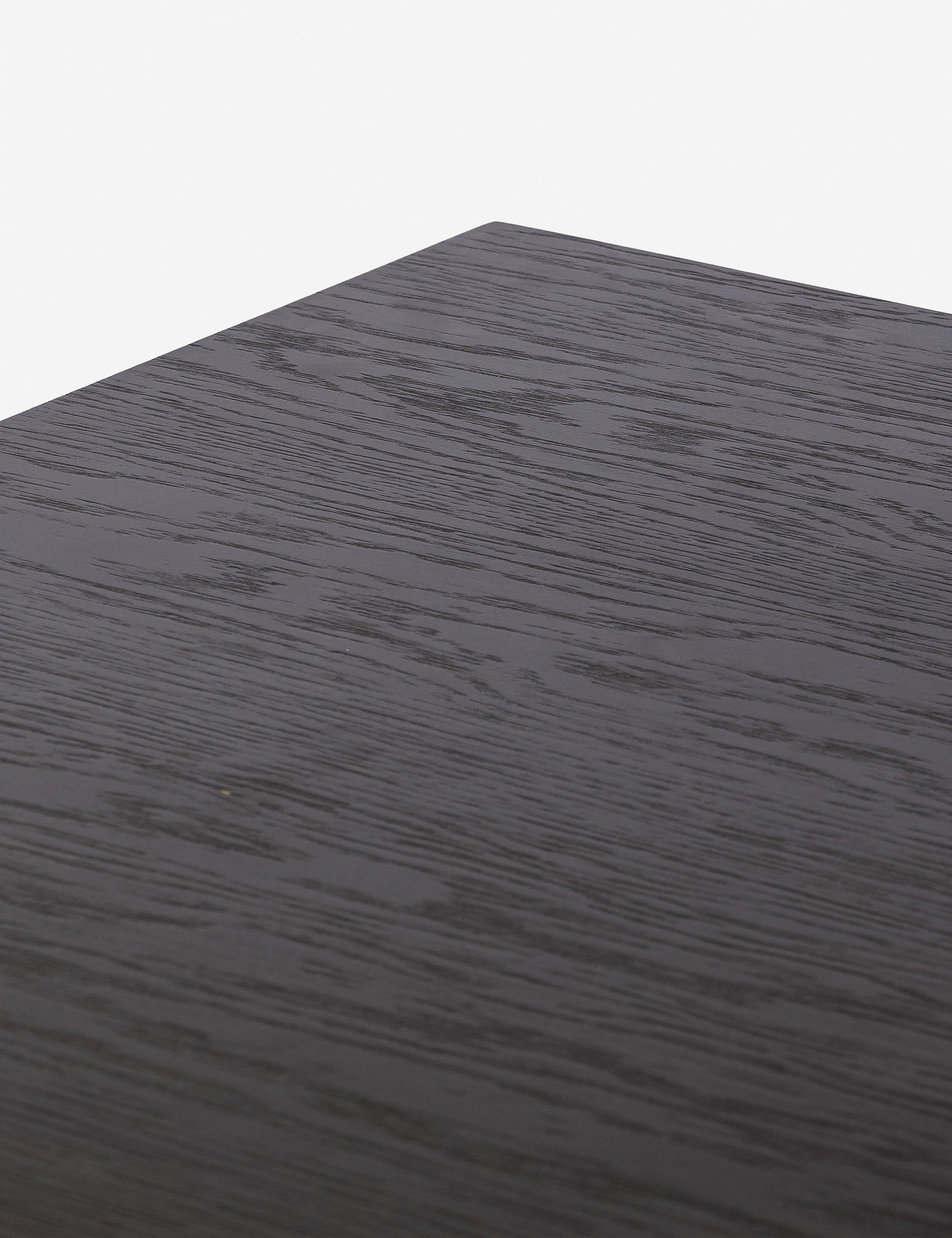 Lulu and Georgia - Amryn Desk