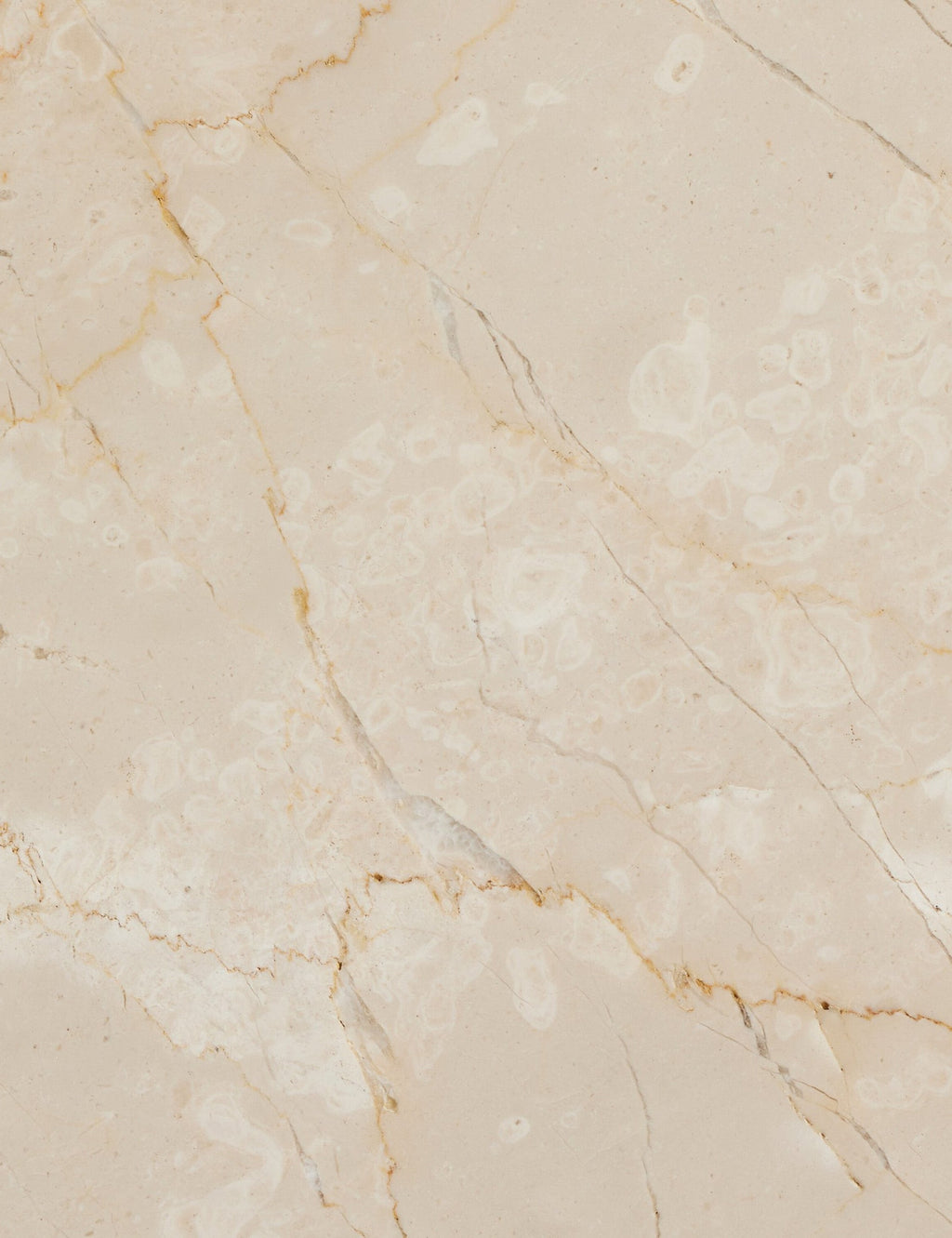 Lulu and Georgia - Mariano Coffee Table