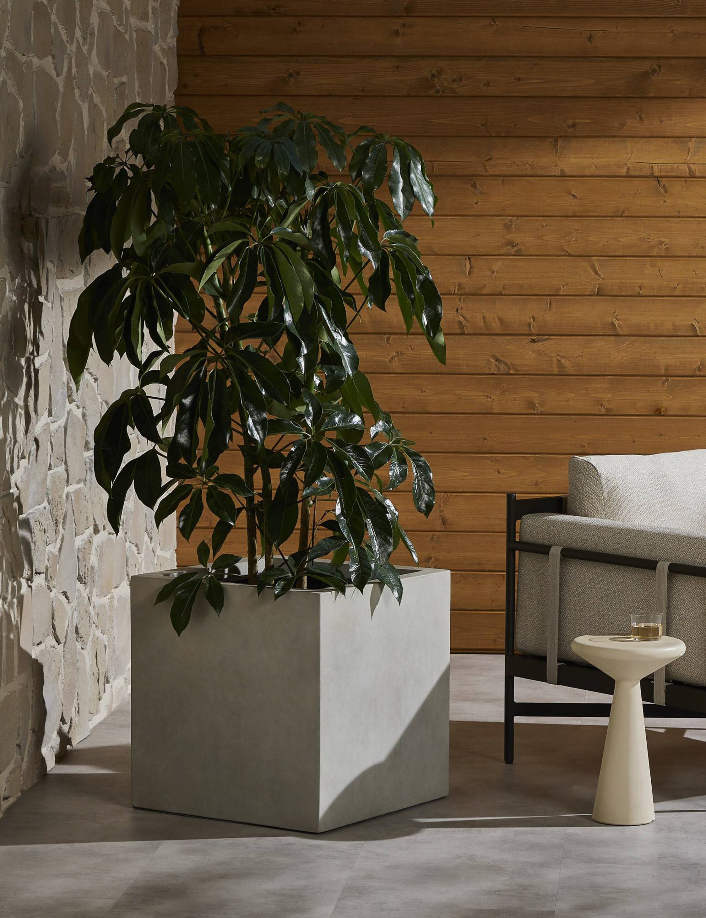 Lulu and Georgia - Sanchez Planter