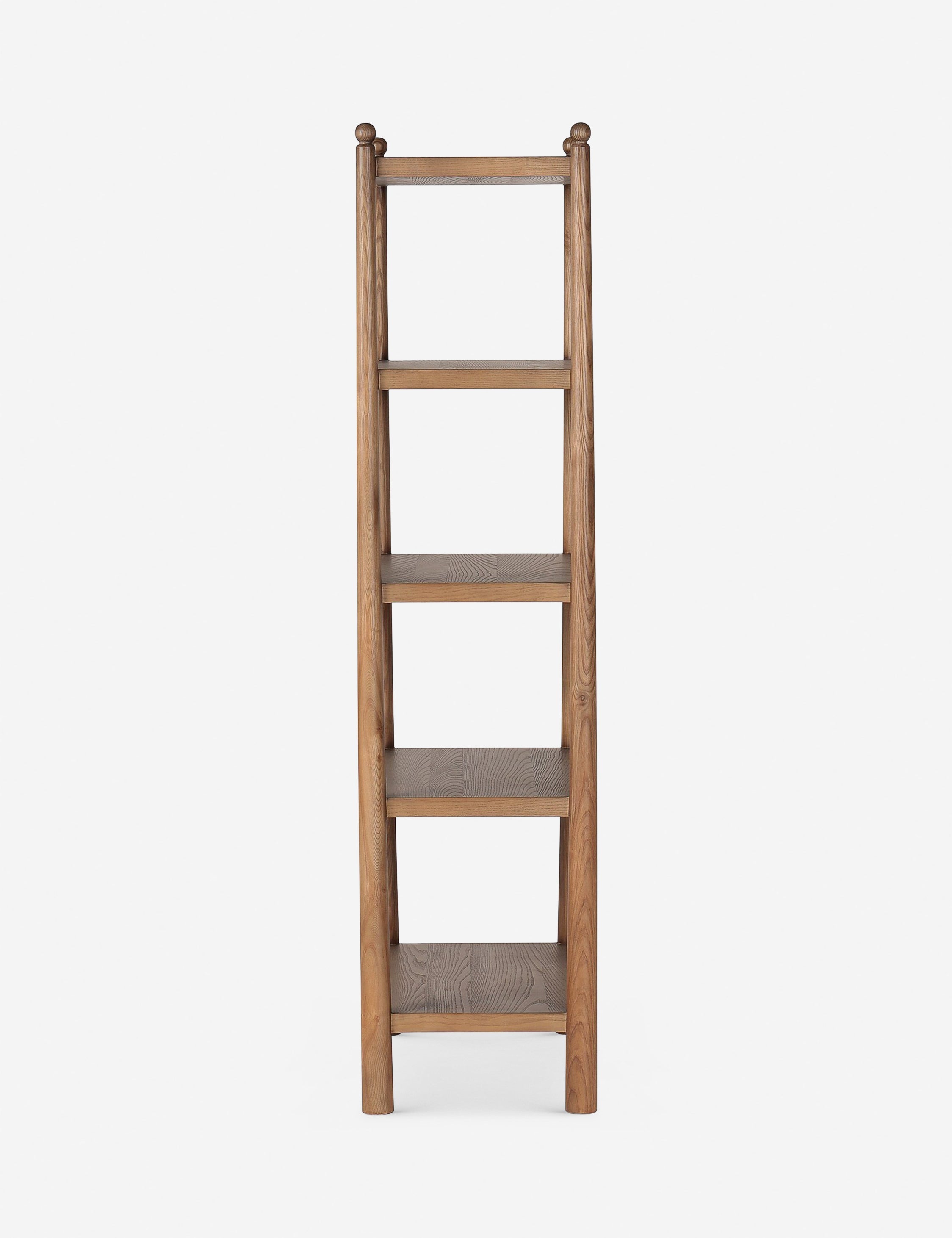 Lulu and Georgia - Eldridge Bookcase by Amber Lewis x Four Hands