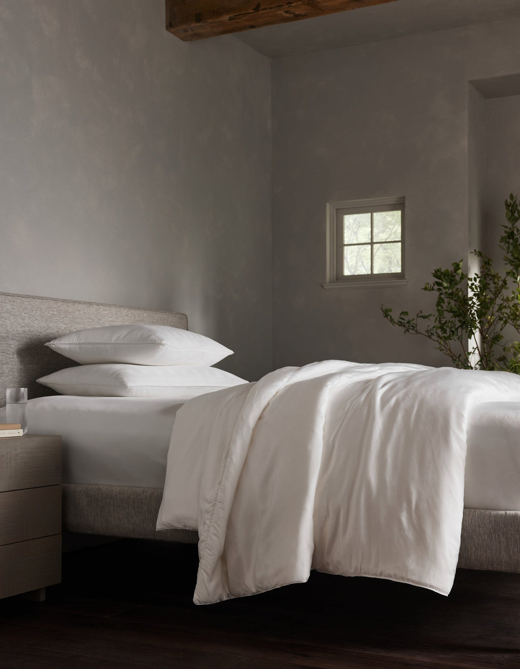 Cozy Earth - Silk Comforter