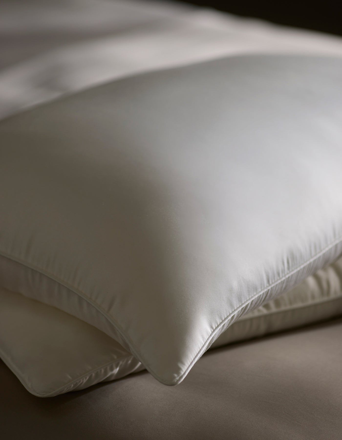Cozy Earth - Silk Pillow