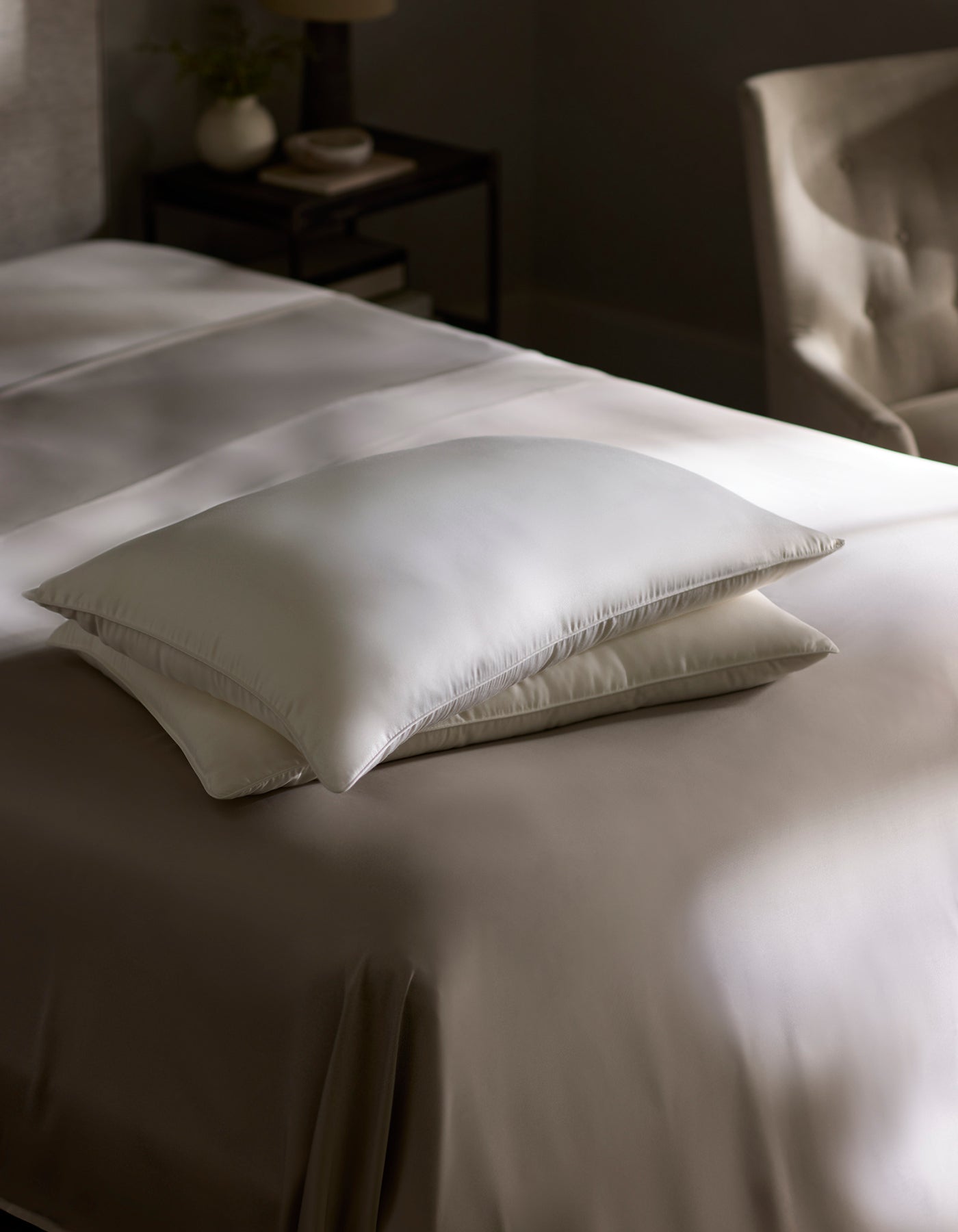 Cozy Earth - Silk Pillow