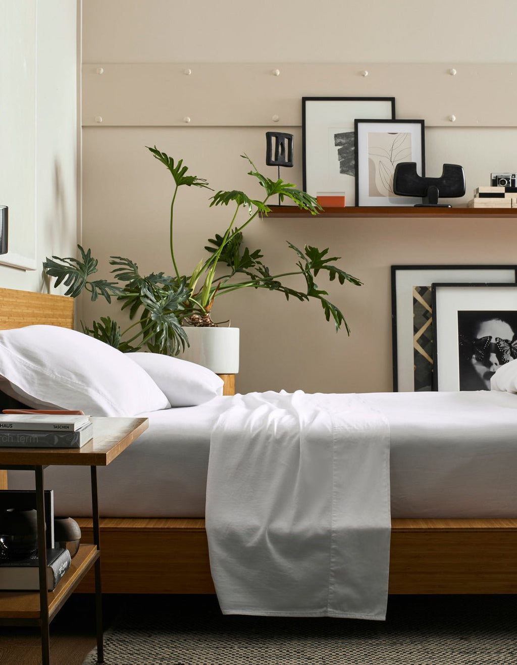 Cozy Earth - Soft - Wash Cotton Bedding Core Bundle