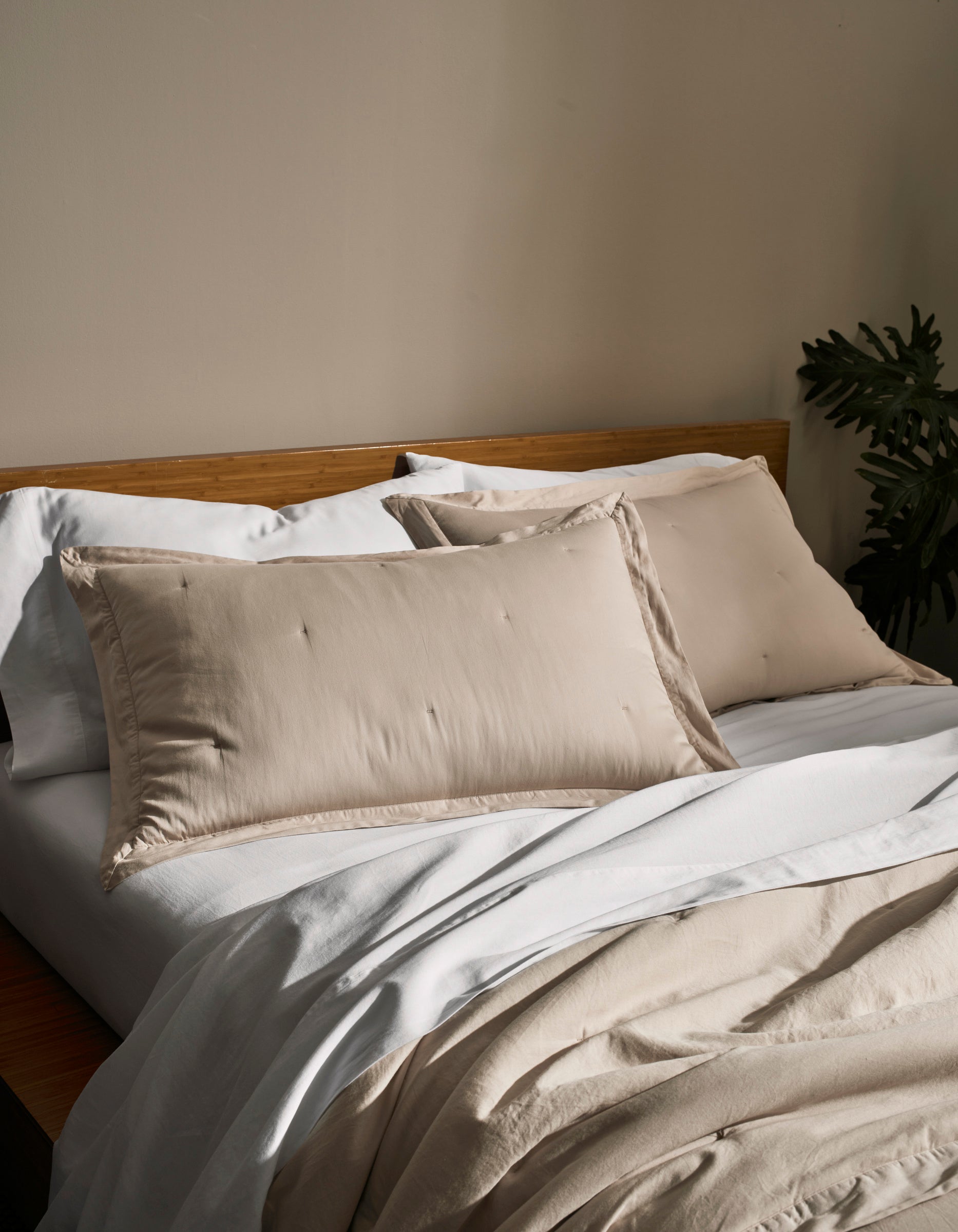 Cozy Earth - Soft - Wash Cotton Quilt Set
