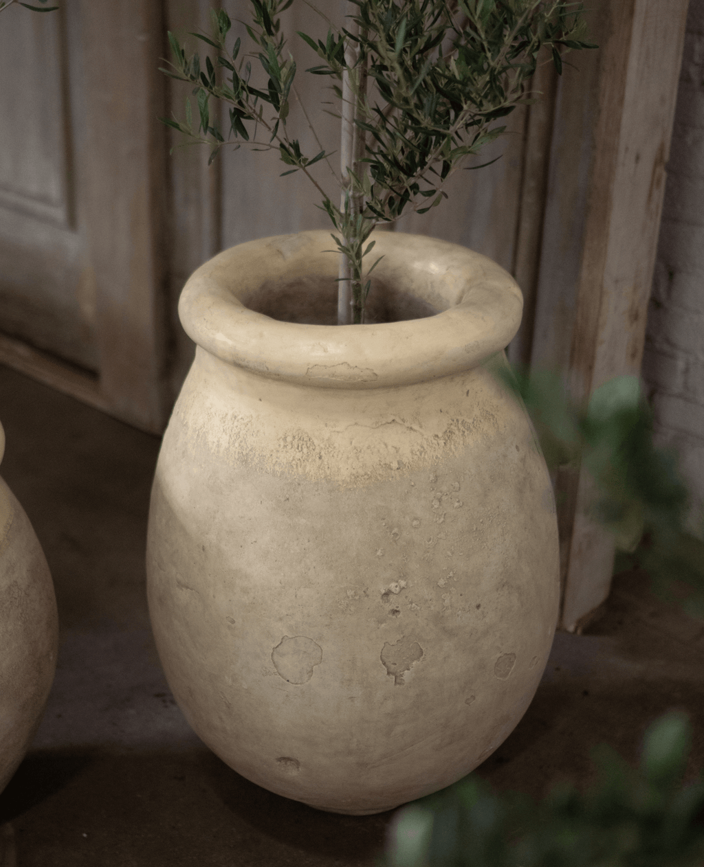 Olive Ateliers - Cast Biot Jar