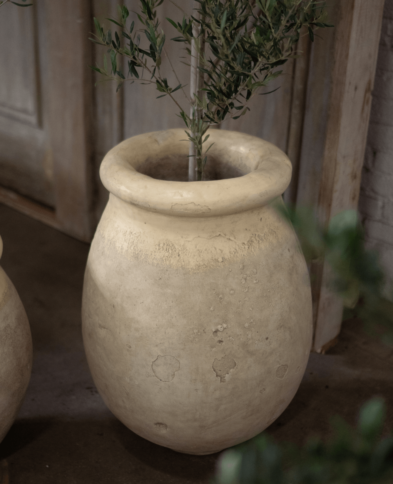 Olive Ateliers - Cast Biot Jar