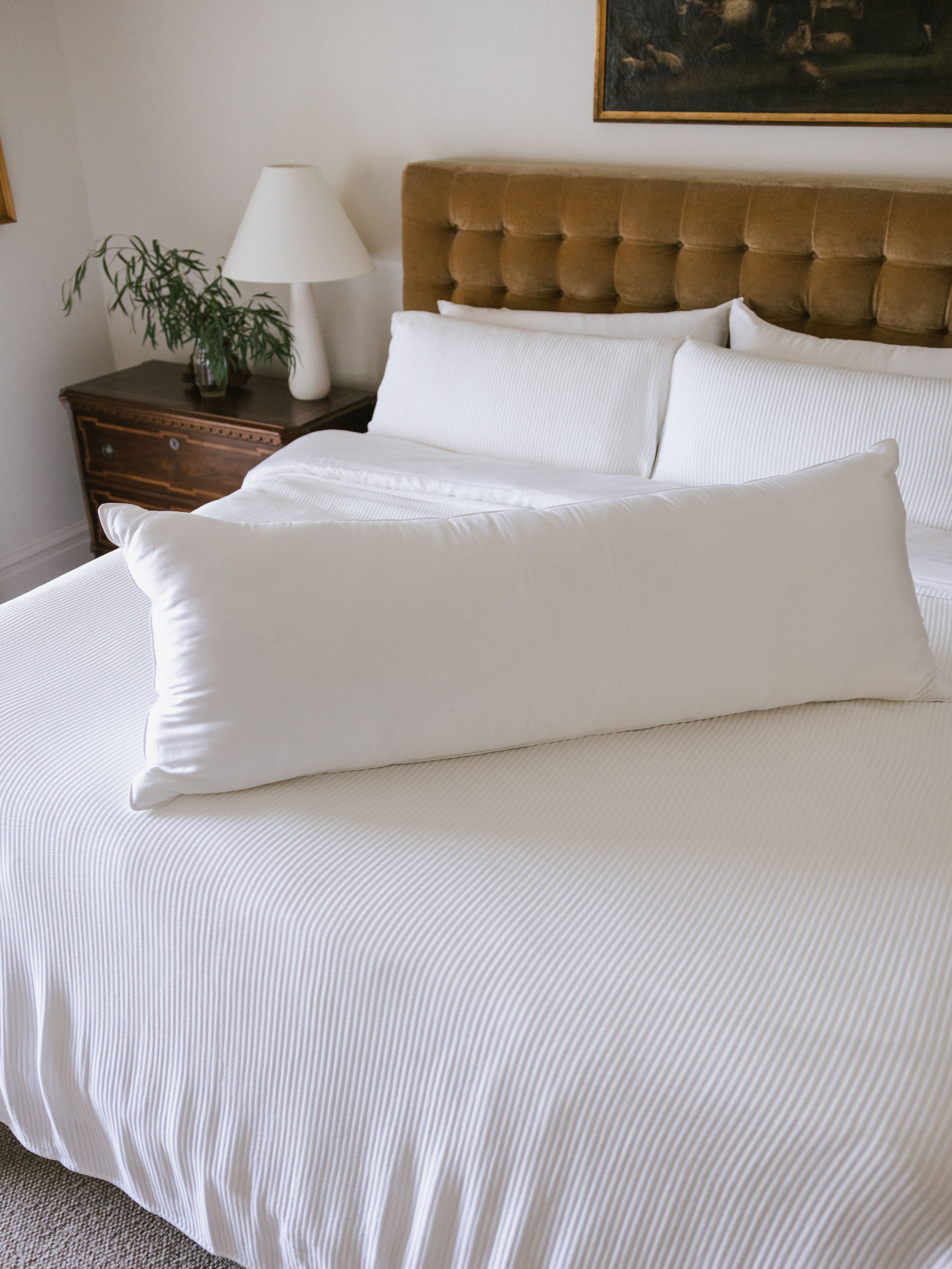 Cozy Earth - Bamboo Down Alternative Body Pillow