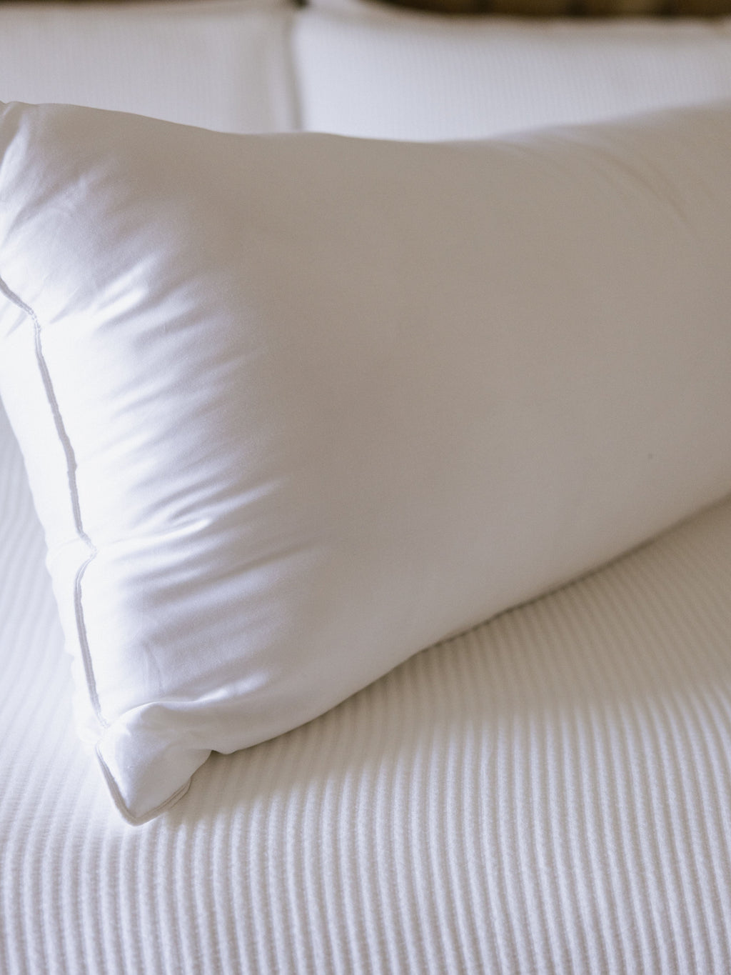Cozy Earth - Bamboo Down Alternative Body Pillow