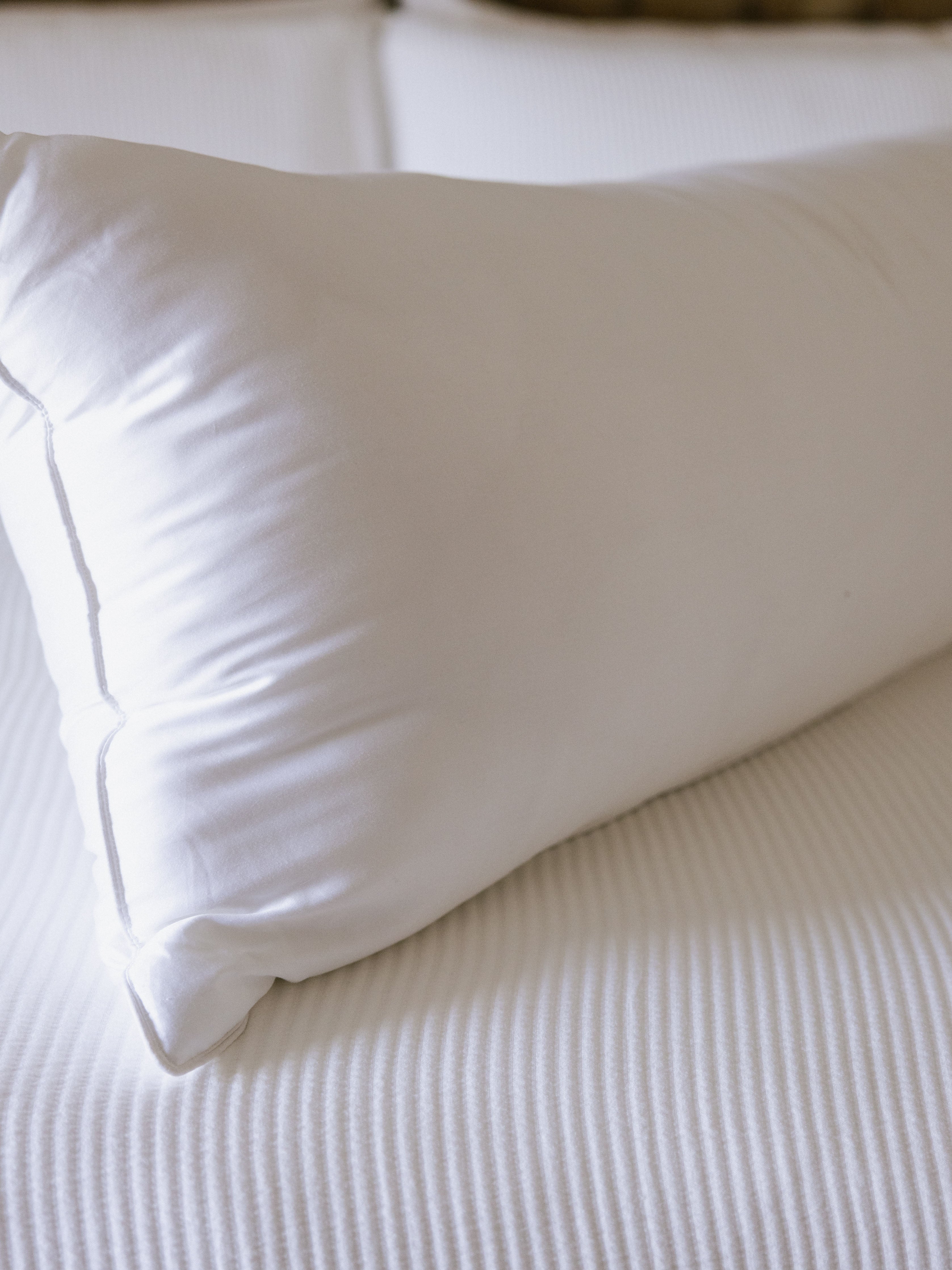 Cozy Earth - Bamboo Down Alternative Body Pillow