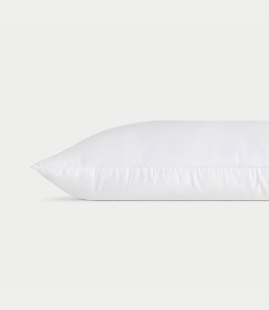 Cozy Earth - Silk Pillow