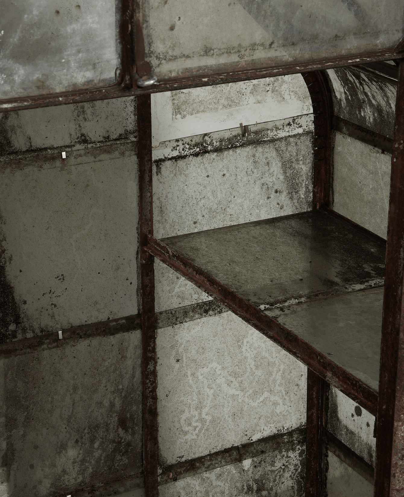 Olive Ateliers - Greenhouse