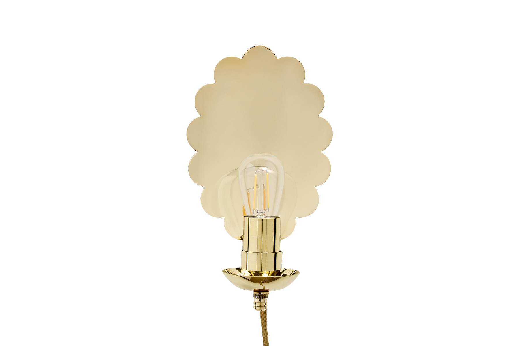 Nicky Kehoe - Scallop Sconce, Plug - In