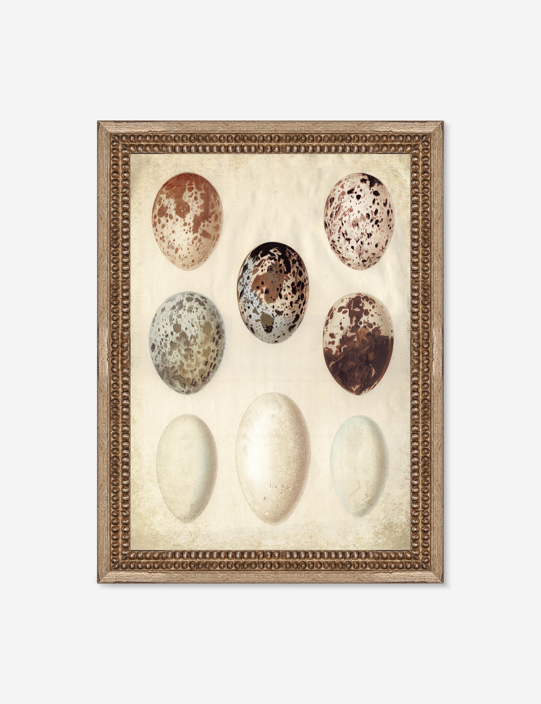 Lulu and Georgia - Speckled Egg I Wall Art by Helen Parker