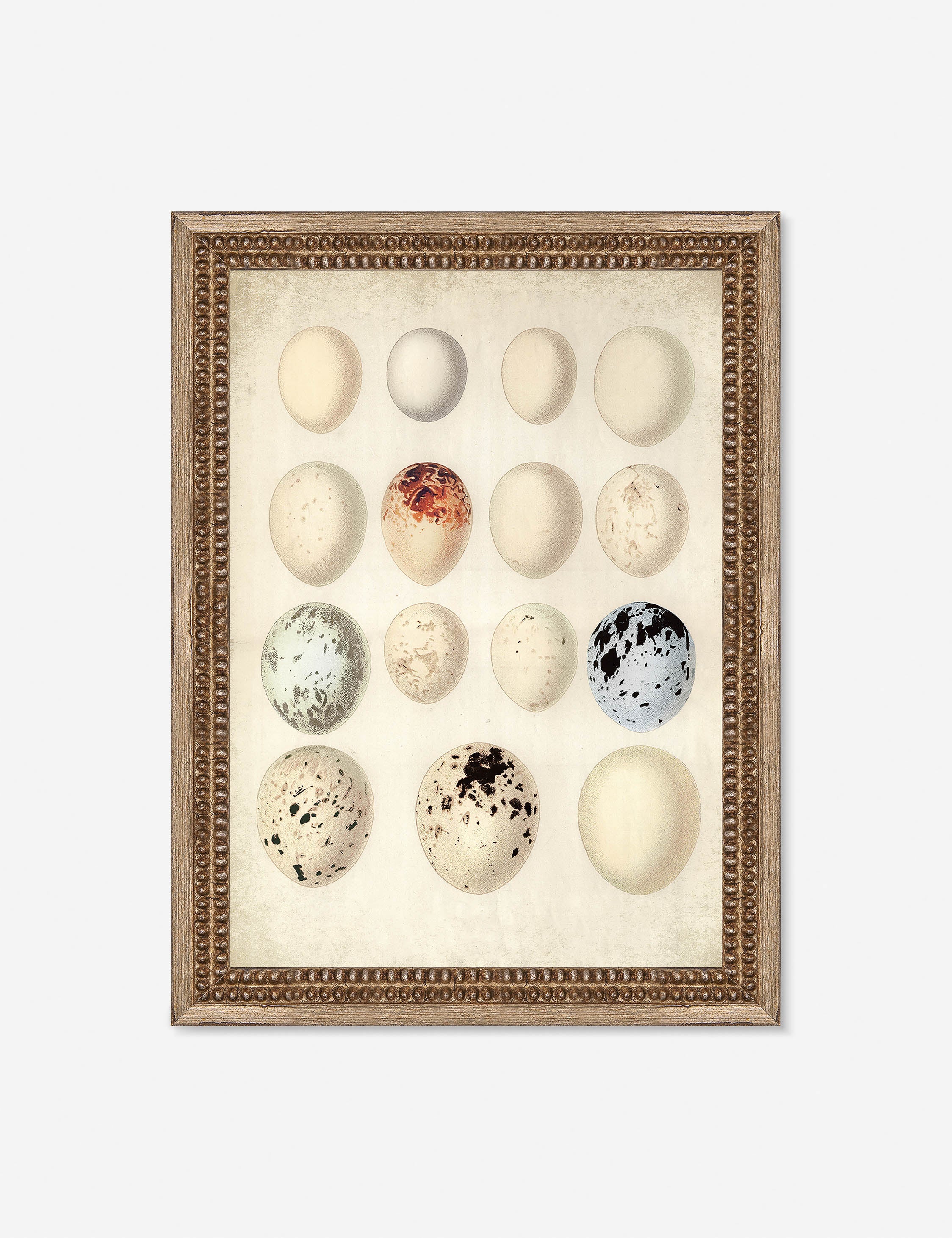 Lulu and Georgia - Speckled Egg II Wall Art by Helen Parker