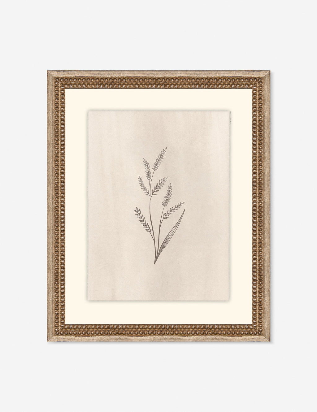 Lulu and Georgia - Elegant Botanical II Wall Art by Makai Howell