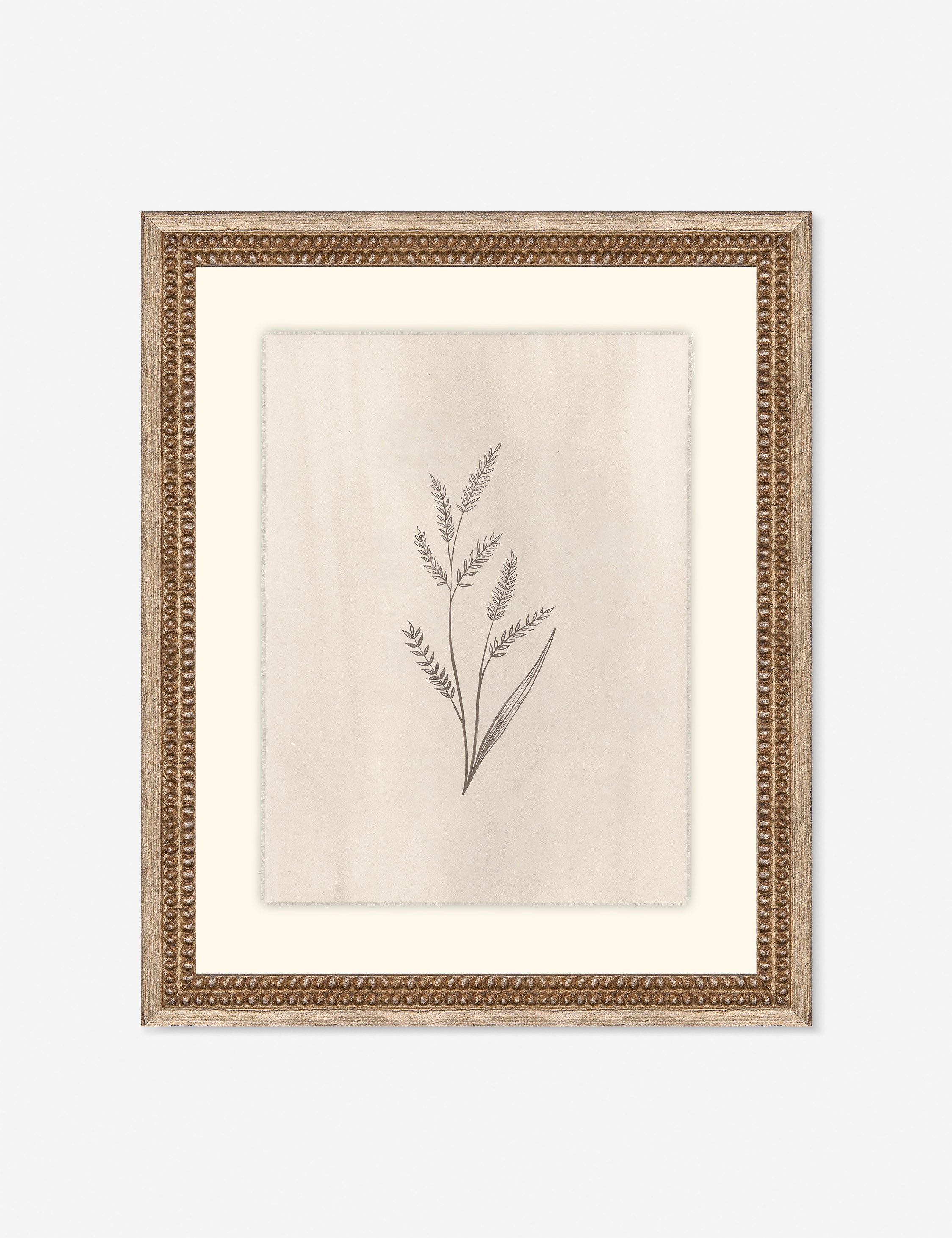 Lulu and Georgia - Elegant Botanical II Wall Art by Makai Howell